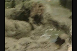Babewatch 8 - Scena2 - 6