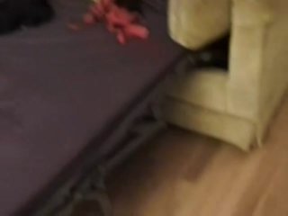 Sexy Strap-On Girls - Scena5 - 1