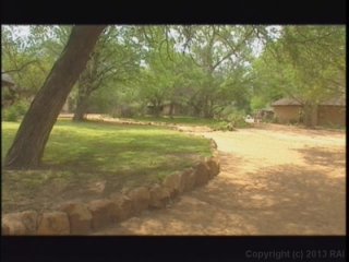 Kruger Park - Scene2 - 1