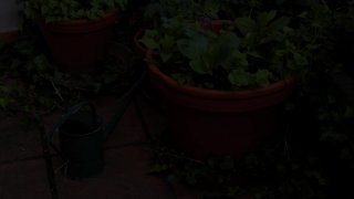 Thick &#39;n&#39; Curvy X-Cut - Scena7 - 1