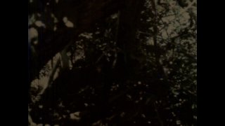 Orgy In The Woods - Scene2 - 1