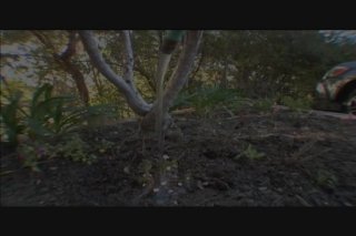 Big Butt All Stars: Decollector - Scene4 - 6