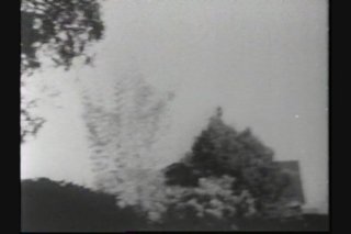 Hotter Than Hell Four-Film Collection - Scène14 - 1