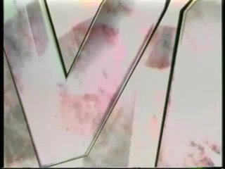 Nasty Video Magazine Volume 3 - Escena1 - 1