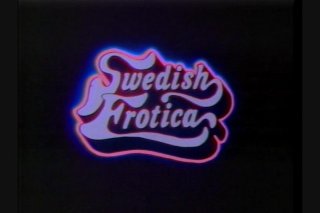 Swedish Erotica Vol. 128 - Szene2 - 1