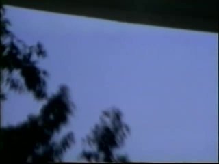 Anal Vision Volume 17 - Szene1 - 2