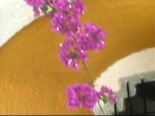 Black Transsexual Beauty Queens #2 - Escena3 - 1
