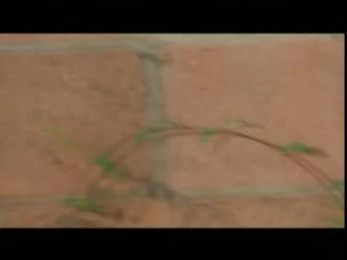 Anal XCess Volume Two - Escena2 - 1