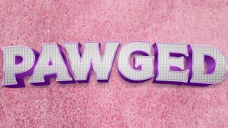 Pawged Vol. 15 - Scene2 - 1