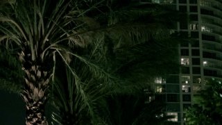 Latina Sex Tapes Vol. 8 - Scène1 - 1