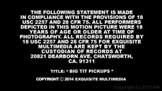 Big Tit Pickups - Scène4 - 6