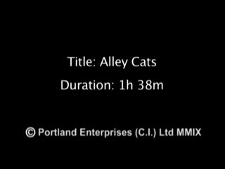 Alley Cats - Scène1 - 1