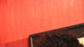 Shemale Cock Suckers - Scène5 - 6