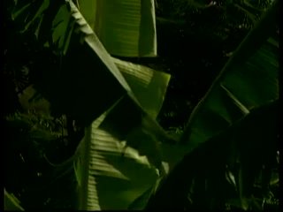 The Collector - Escena4 - 1