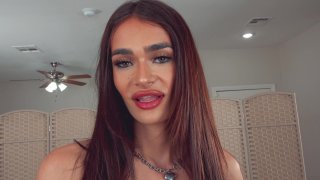 T-Girls Porn Vol. 41 - Scena4 - 1