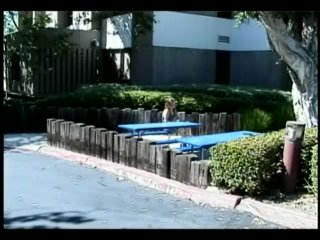 Dave Cummings Sex Fun v.6 - Escena3 - 1