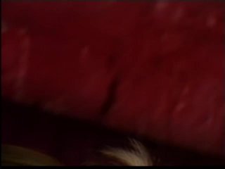 From Dusk Til Porn - Scene4 - 1