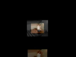 Verboten Jung - Scene1 - 1