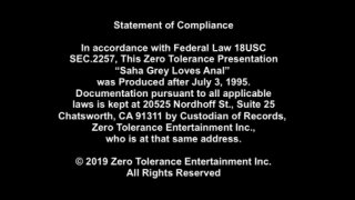 Sasha Grey Loves Anal - Szene6 - 1