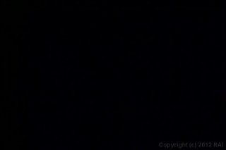 Cockless Vol. 11 - Cena1 - 1