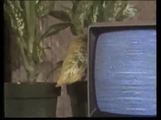 Lisa Melendez Triple Feature: Tailspin 2 - Deliveries In The Rear - Scena4 - 6