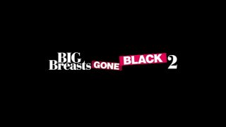 Big Breasts Gone Black 2 - Scene1 - 1