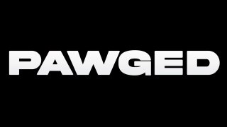 Pawged Vol. 13 - Cena2 - 1