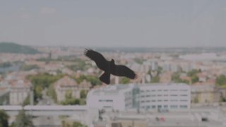 MiXXXed - Cena2 - 6