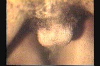Black Beauties 2 - Scene1 - 4