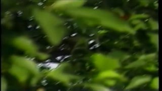 Heat Rises - Scena2 - 2