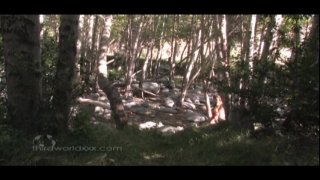 Hairy In America #2: Lesbian Edition - Szene4 - 1