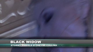 Stormy Trumps All - Wicked 4 Hours - Escena18 - 1