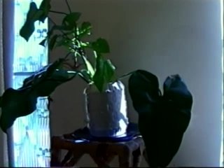 As Patricinhas 2 - Scene4 - 1