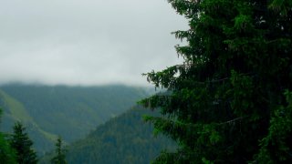 Alpine Lovers - Scene1 - 1
