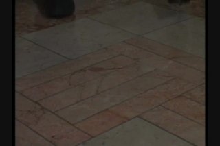 Hot Beavers - Scene4 - 1