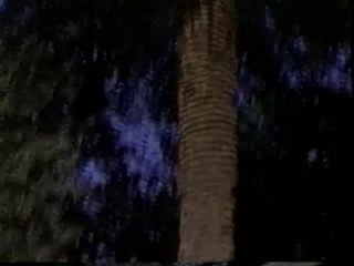 Fantasex Island - Escena8 - 6
