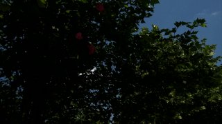 Teens Vs Milfs #5 - Scene2 - 6