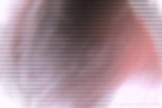 Shaved Japanese Cuties 4 - Scène3 - 3