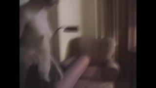 The Best Of Jayden Williams - Cena4 - 4