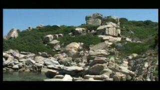 Wildest Sex - Piacere Letale - Cena2 - 1