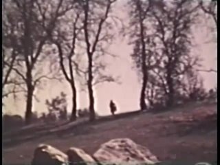 All Lesbian Peepshow Loops S-627: 70&#39;s &amp; 80&#39;s (All Color) - Scena14 - 1