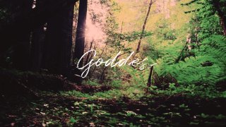 Goddess+Vanity - Scène8 - 1