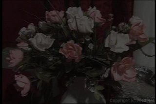 Blowjob Fantasies #10 - Szene5 - 1