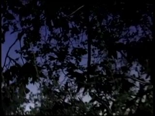 Everyone Loves Lesbos - Scene12 - 4