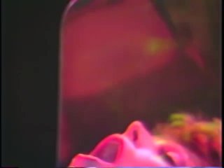 She-Male Sperm Whores 2 - Cena7 - 2