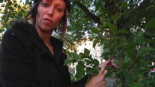 Gina deckt auf 10 - Cena2 - 1