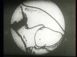 Histoire Du Film X Clandestin - In France From 1912 To 1965 - French Version - Scena3 - 3