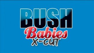 Bush Babies X-Cut - Scena1 - 1