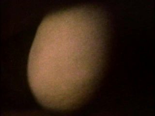 Sleazy 70s Stags Vol. 1 (Loops 1-12) - Scene4 - 2