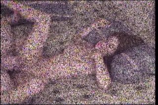 More Dirty Debutantes #208 - Escena2 - 1